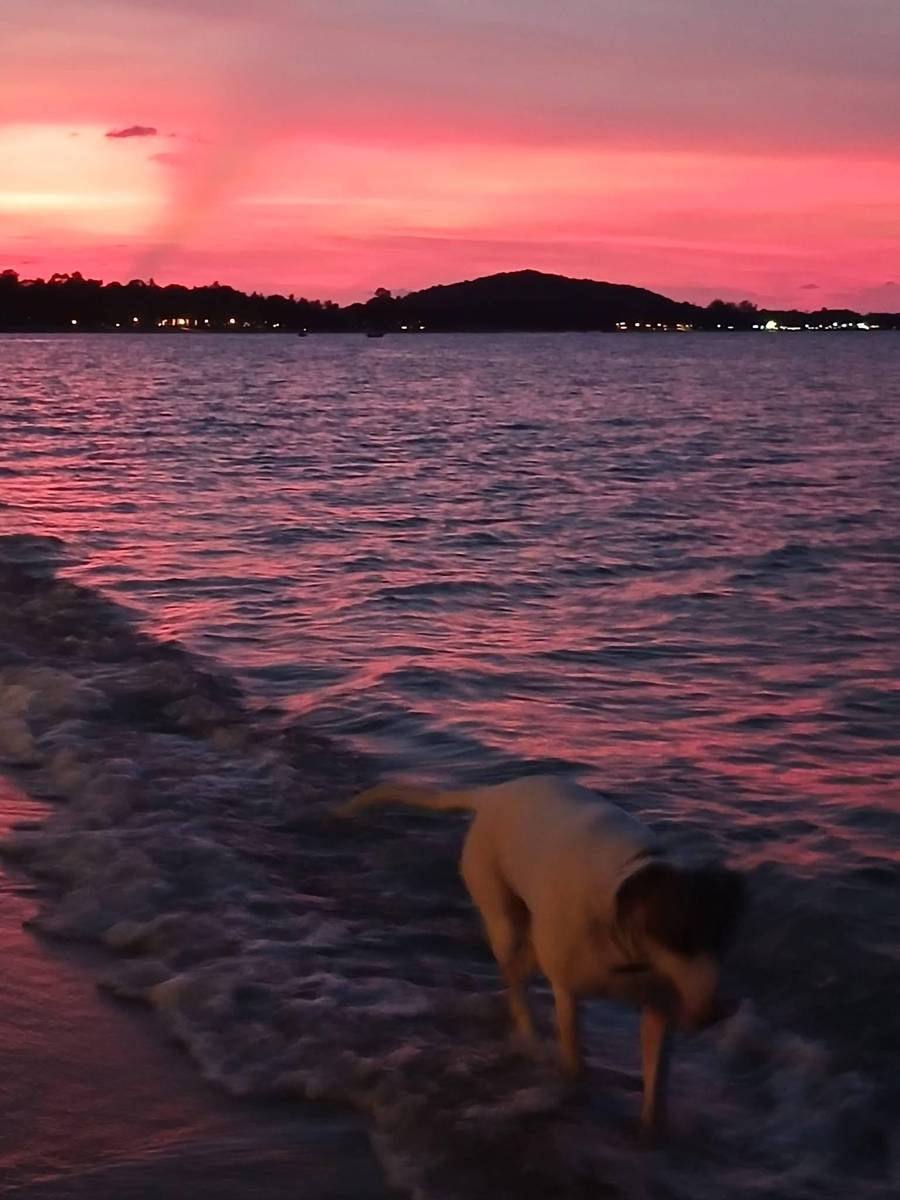 Nature Bar pink sunset over the water